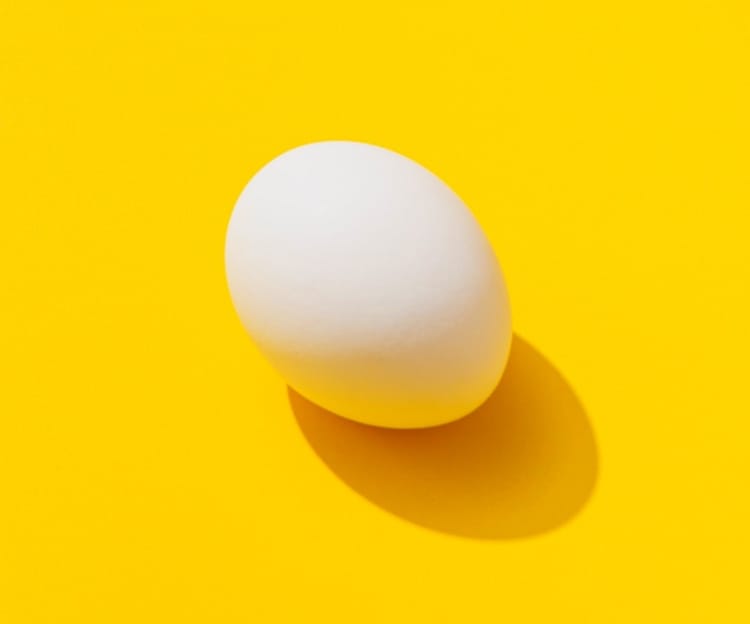 image of a egg